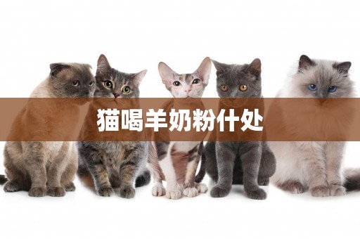 貓喝羊奶粉什處