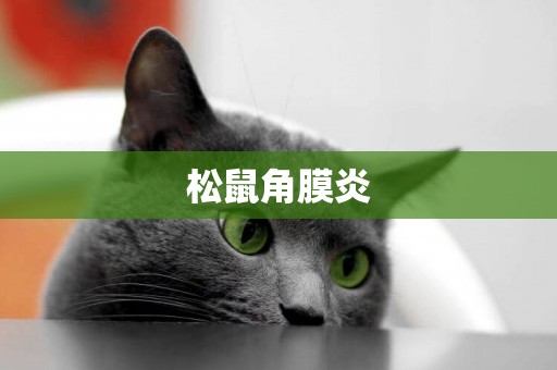 松鼠角膜炎