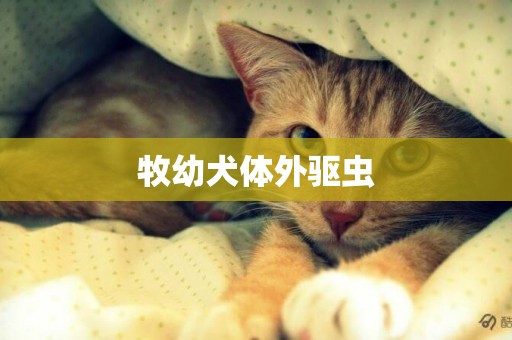牧幼犬體外驅蟲