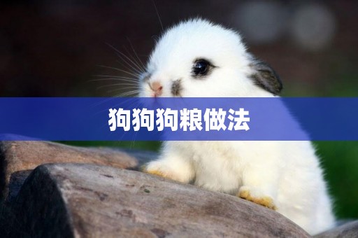 狗狗狗糧做法