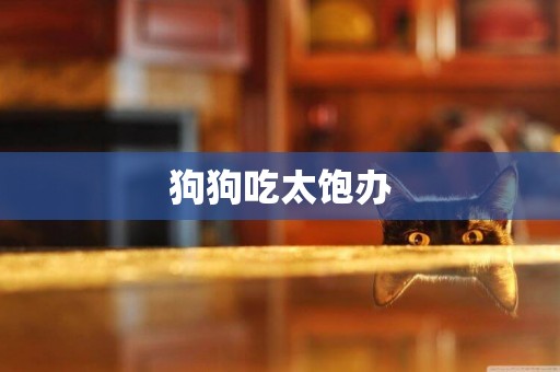 狗狗吃太飽辦