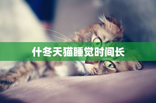 什冬天貓睡覺時間長