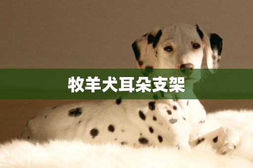 牧羊犬耳朵支架