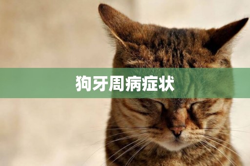 狗牙周病癥狀