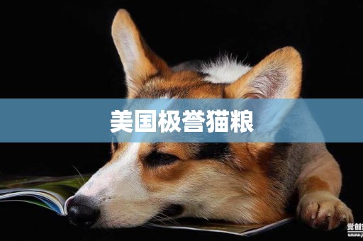 美國極譽貓糧