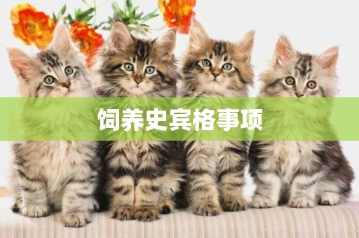 飼養史賓格事項