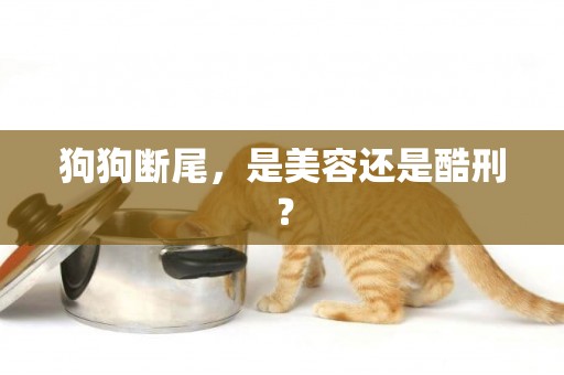 狗狗斷尾，是美容還是酷刑？