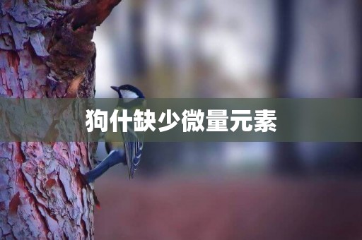 狗什缺少微量元素