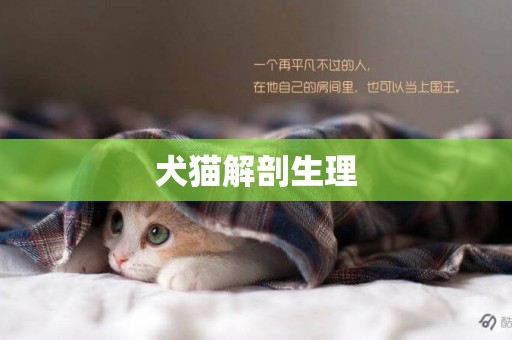 犬貓解剖生理
