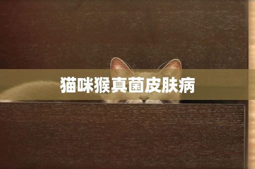 貓咪猴真菌皮膚病