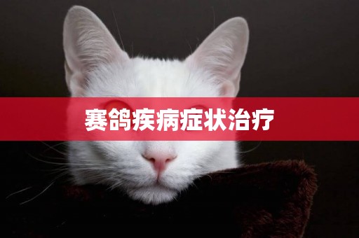 賽鴿疾病癥狀治療