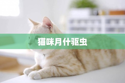 貓咪月什驅蟲