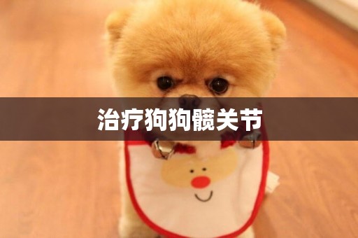 治療狗狗髖關節