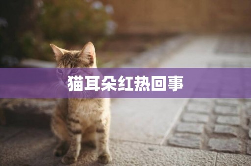 貓耳朵紅熱回事
