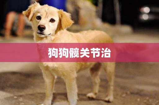 狗狗髖關節治