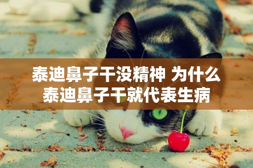 泰迪鼻子干沒精神 為什么泰迪鼻子干就代表生病