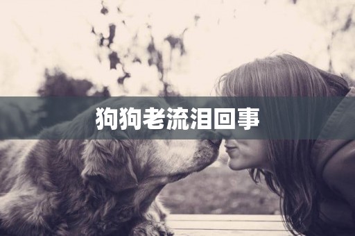 狗狗老流淚回事