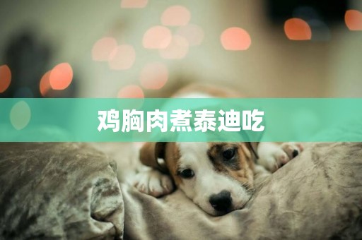 雞胸肉煮泰迪吃