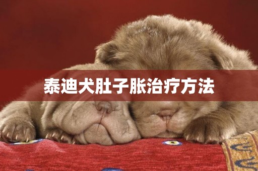 泰迪犬肚子脹治療方法