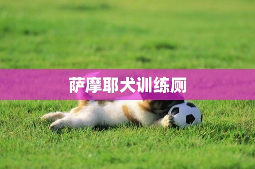 薩摩耶犬訓練廁