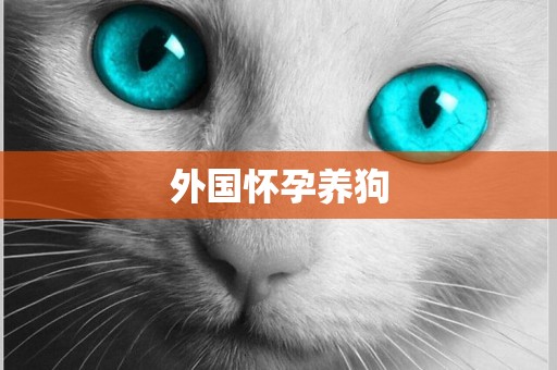 外國懷孕養狗