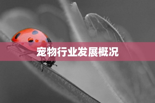 寵物行業發展概況