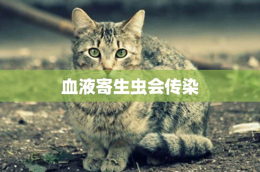 血液寄生蟲會傳染