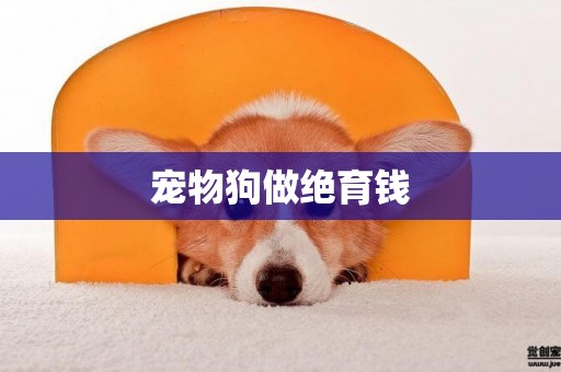 寵物狗做絕育錢