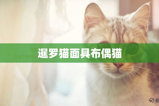 暹羅貓面具布偶貓