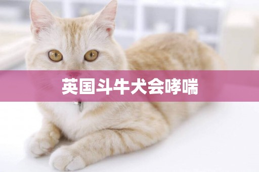 英國斗牛犬會哮喘