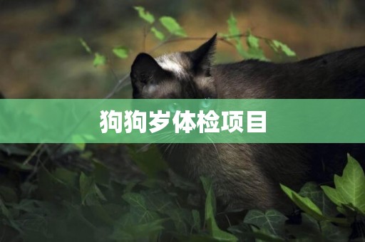狗狗歲體檢項目