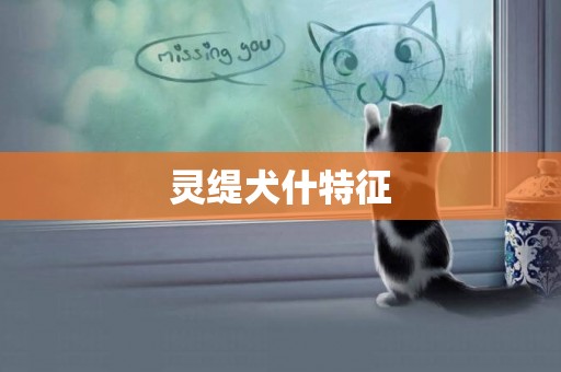 靈緹犬什特征