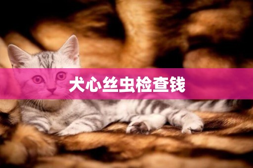 犬心絲蟲檢查錢