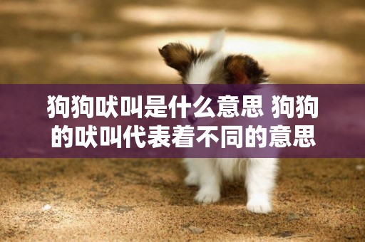 狗狗吠叫是什么意思 狗狗的吠叫代表著不同的意思