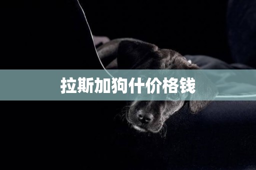 拉斯加狗什價格錢
