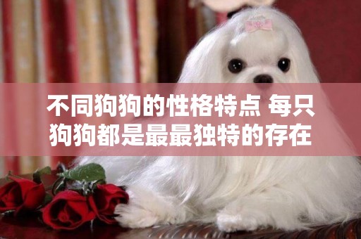 不同狗狗的性格特點 每只狗狗都是最最獨特的存在 不同狗狗的性格特點 每只狗狗都是最最獨特的存在
