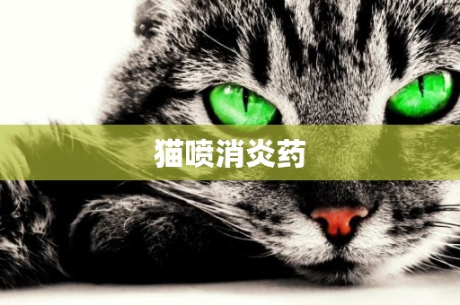 貓噴消炎藥