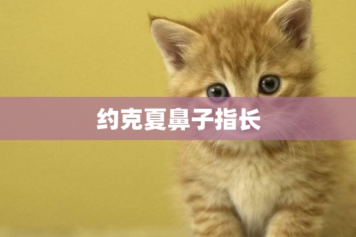 約克夏鼻子指長