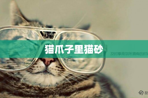 貓爪子里貓砂