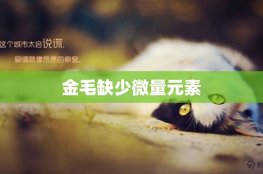 金毛缺少微量元素
