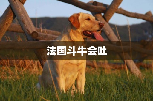 法國斗牛會吐