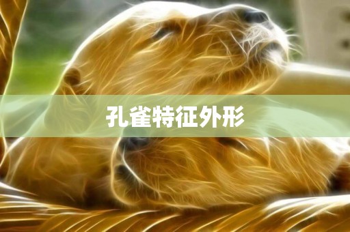 孔雀特征外形