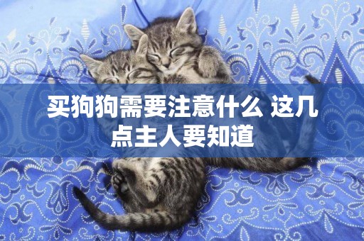買狗狗需要注意什么 這幾點主人要知道