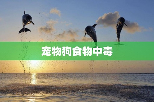 寵物狗食物中毒