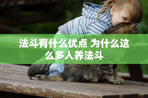 法斗有什么優點 為什么這么多人養法斗