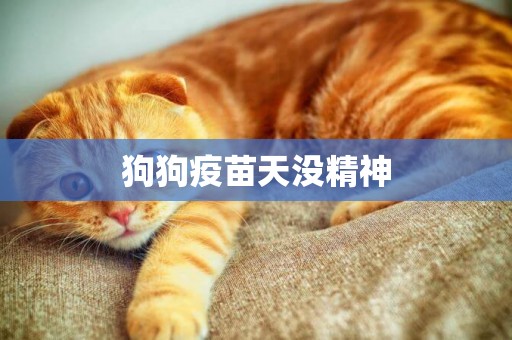 狗狗疫苗天沒精神