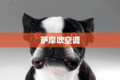 薩摩吹空調