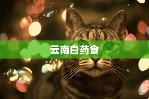 云南白藥食