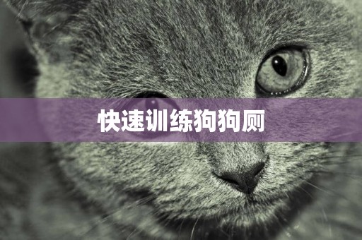 快速訓練狗狗廁