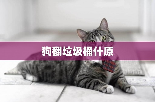 狗翻垃圾桶什原